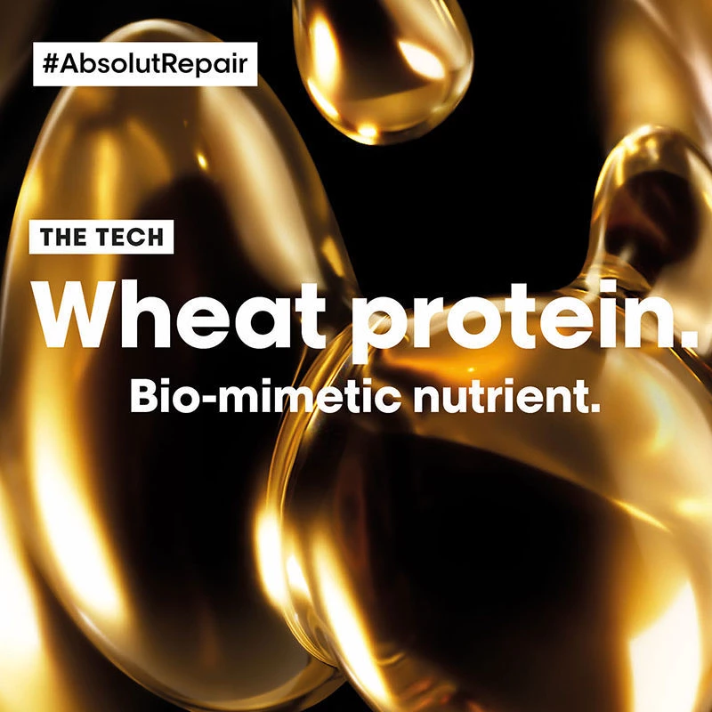 Loreal Professionnel Absolut Repair Hair Mask For Dry and Damaged Hair, 250 g-4.webp